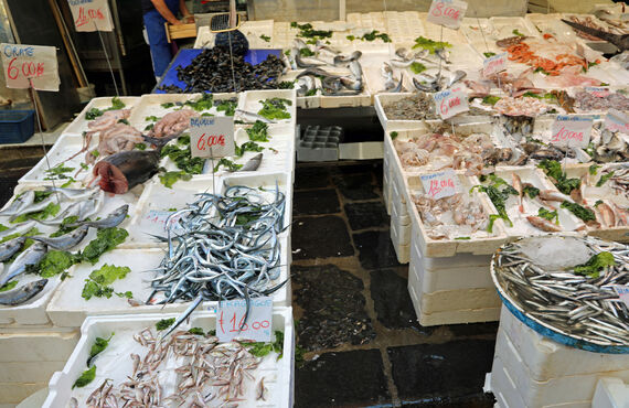 魚を京都のホテル等にお届けしている業者では一匹からのご購入も可能です