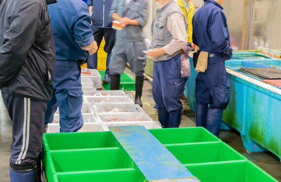 魚を専門とする京都の卸売業者は専門店様からのご相談にも対応いたします